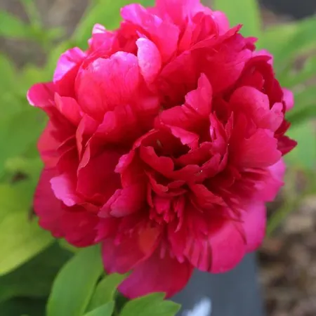 לינה וארוחת בוקר Le Clos De Boisse